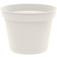 articul-A215802