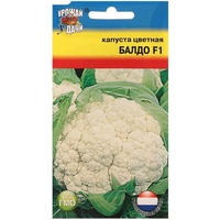 articul-A52634