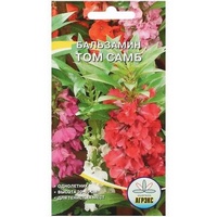 articul-A89423